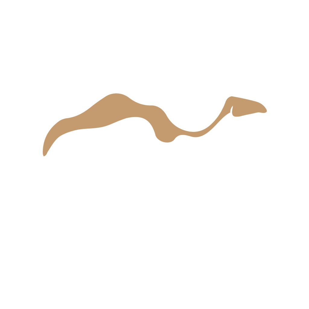 عقيلات ١٠٢٤